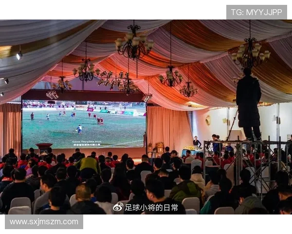 捷克与圣马力诺足球赛比分揭晓精彩瞬间回顾与分析